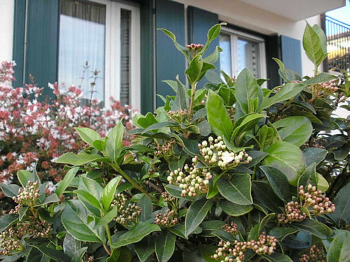 Casa Di Clara 호텔 포르투그루아 외부 사진